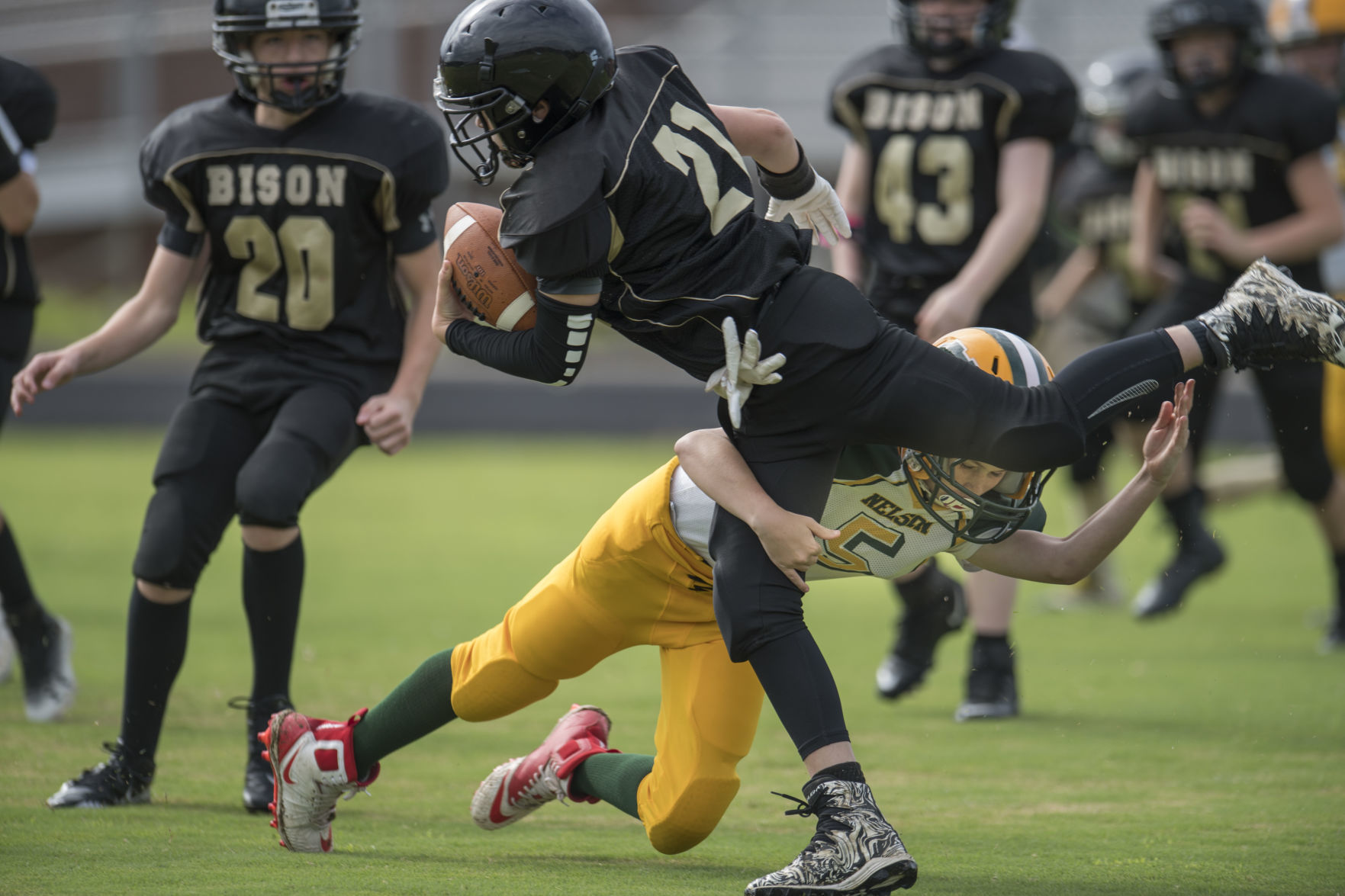 Nelson vs. Buffalo Gap
